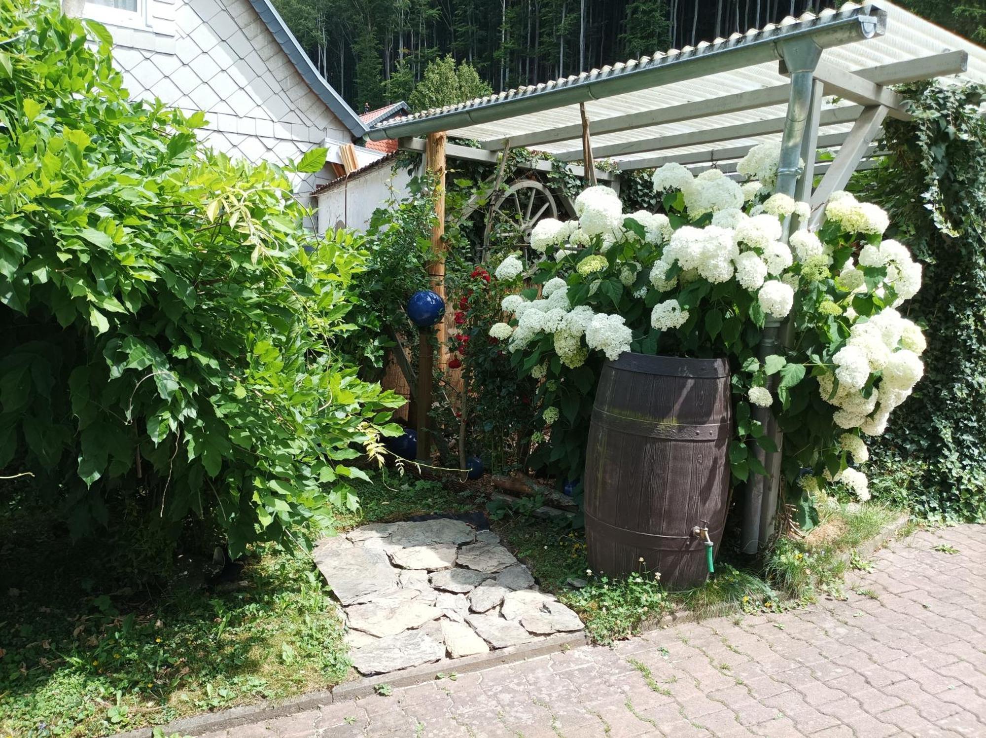 Fewo ,,An Der Kleinen Wilde" Stolberg  Экстерьер фото